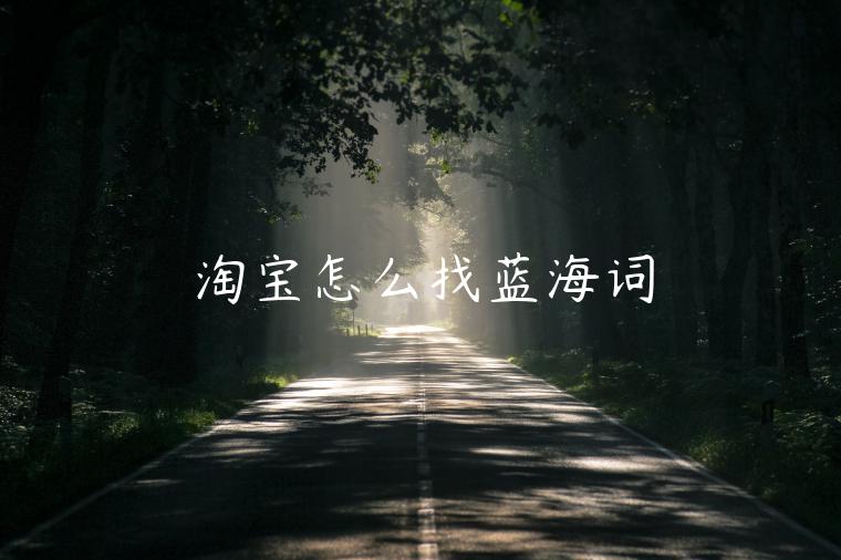 淘寶怎么找藍(lán)海詞